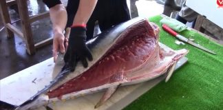 cách chế biến cá ngừ đại dương