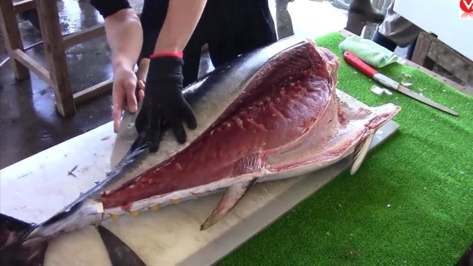 cách chế biến cá ngừ đại dương