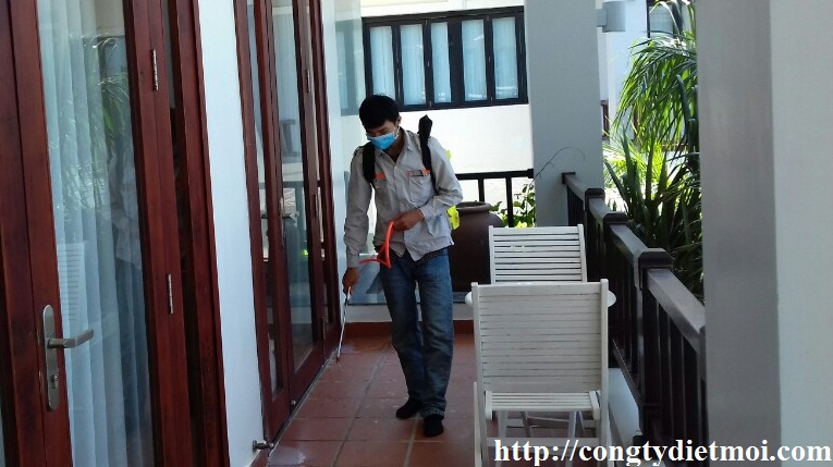 Diệt chuột Hà Nội Diệt chuột Hà Nội
