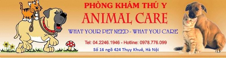 Dịch vụ chăm sóc thú cưng Hà Nội