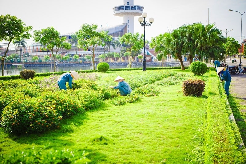 dịch vụ chặt cây xanh Hà Nội