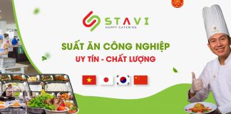 Công Ty Sao Việt Nam