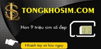 Cách chọn sim số đẹp hợp tuổi