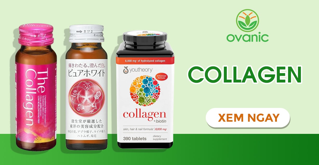 nguồn bổ sung collagen tốt nhất