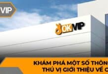 thương hiệu OKVIP